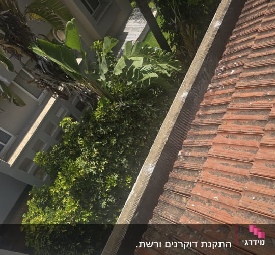 רשת על גג למניעת כניסת יונים